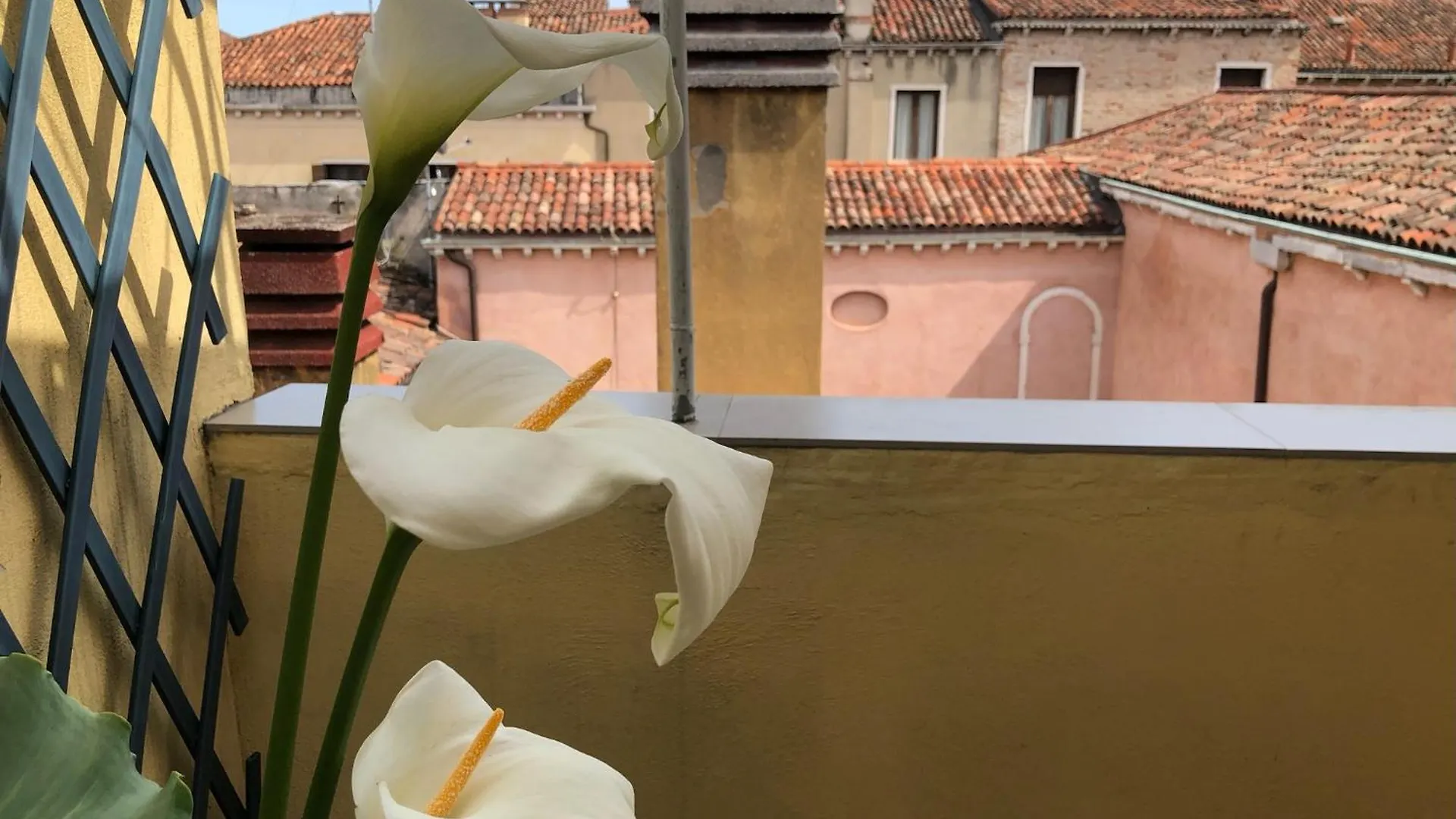 Appartamento Ca D'Oro Venezia